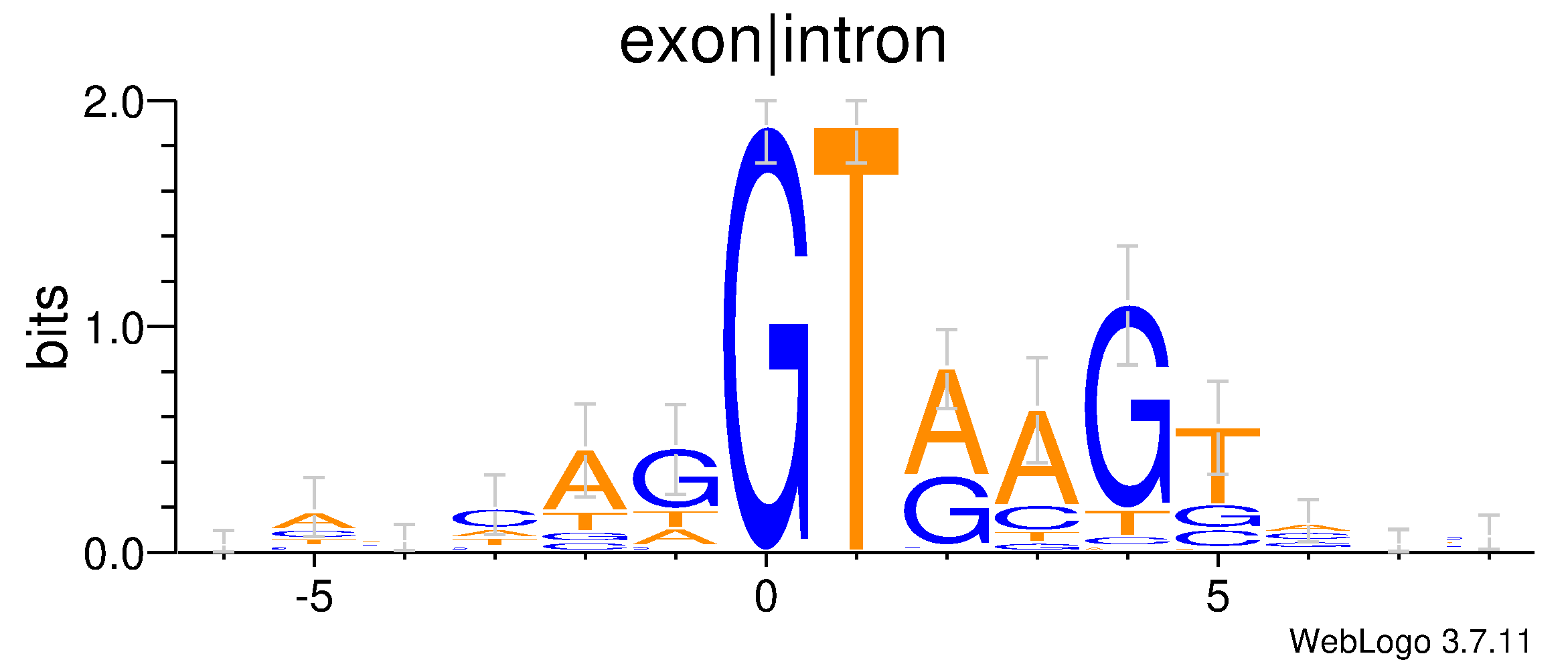 exon-intron image